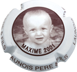 Maxime 1